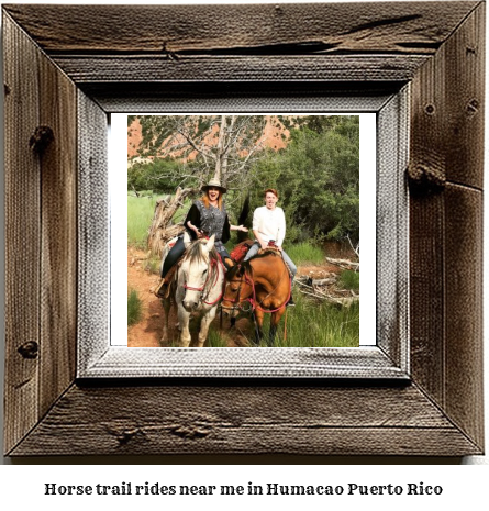 horse trail rides near me in Humacao, Puerto Rico